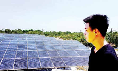 Biến tướng trang trại điện mặt trời - bài 2 Cần sự rõ ràng, minh bạch trong đầu tư