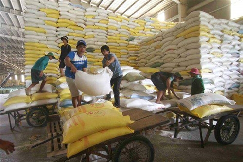 Thị trường nông sản tuần qua Giá gạo trong nước giảm nhẹ