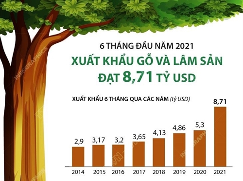 Xuất khẩu gỗ và lâm sản 6 tháng đầu năm đạt 8,71 tỷ USD