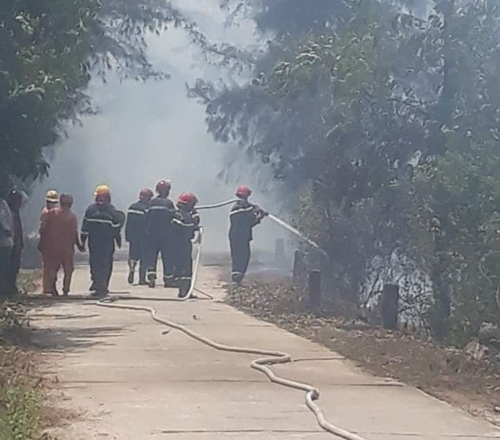 Cháy rừng tràm ở Tân Hội