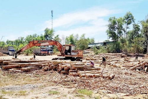 Bình Thành Khắc phục ô nhiễm môi trường ở bãi tập kết gỗ