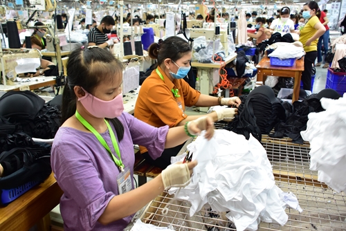 Phong Điền cần phát triển công nghiệp, tiểu thủ công nghiệp thành ngành kinh tế trọng tâm