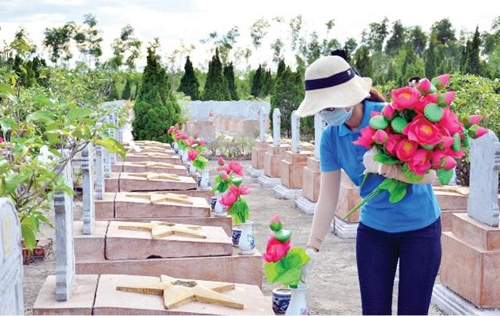Những đóa hoa sen hồng ở Nghĩa trang liệt sĩ Hương Điền