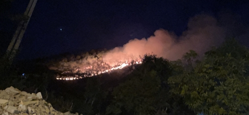 Dập tắt cháy rừng tại núi Ngự Bình
