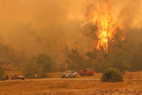 Cháy rừng hoành hành khắp Nam Âu