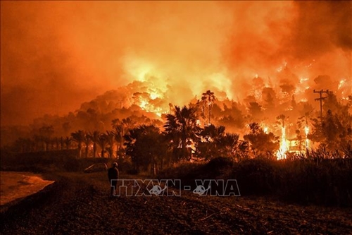 Địa Trung Hải trở thành điểm nóng cháy rừng