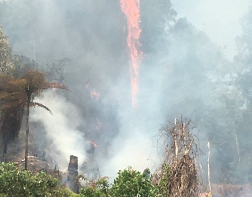Nam Đông kịp thời khống chế đám cháy tại khu vực rừng tự nhiên