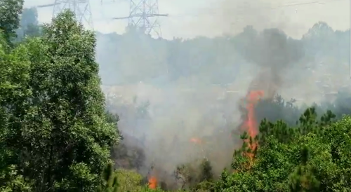 Cơ bản khống chế cháy rừng ở TP Huế