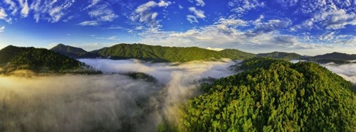 A Luoi mountain and forest blurred in the mist
