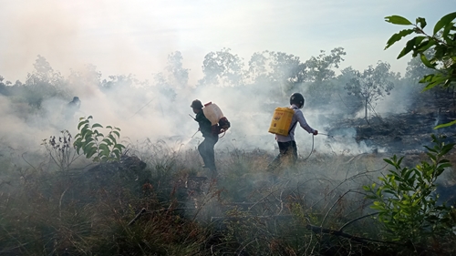 Kịp thời dập tắt vụ cháy rừng ở Phong Hiền