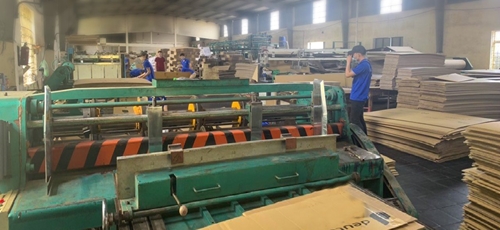 Nhà máy bao bì Đăng Tuấn tăng trưởng mạnh mẽ, nâng tầm chất lượng bao bì Việt