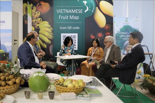 Việt Nam tham dự Hội chợ trái cây Macfrut 2021 tại Italy