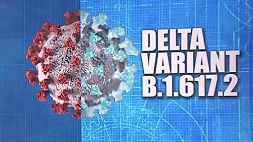 Ngoài Delta, nhiều biến thể khác của virus SARS-CoV-2 vẫn đang được theo dõi