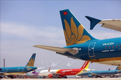 Cục Hàng không Việt Nam lên kế hoạch mở lại đường bay nội địa theo 3 nhóm