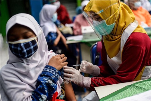 Indonesia đàm phán với WHO để trở thành trung tâm vaccine toàn cầu