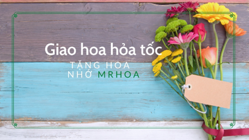 Mua hoa tại MrHoa - Top 10 shop hoa tươi Thành phố Huế đẹp nhất