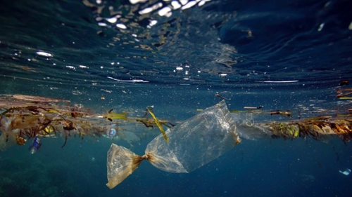 Loại bỏ rác thải nhựa từ các rạn san hô ở Philippines