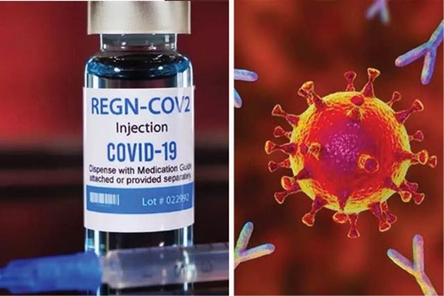 WHO khuyến nghị sử dụng liệu pháp “hỗn hợp kháng thể” trong điều trị COVID-19