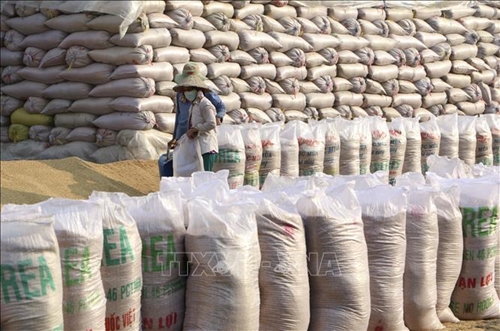 Xuất cấp hơn 75 000 tấn gạo hỗ trợ người dân