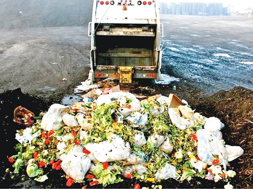 FAO Rác thải thực phẩm là một vấn đề toàn cầu