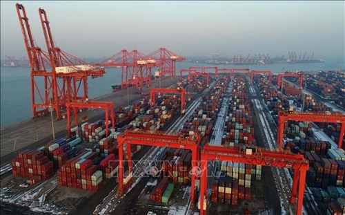 WTO nâng dự báo tăng trưởng thương mại toàn cầu