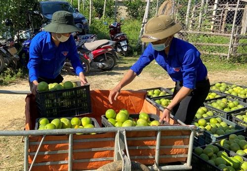 Tuổi trẻ Thừa Thiên Huế hỗ trợ tiêu thụ cam Nam Đông