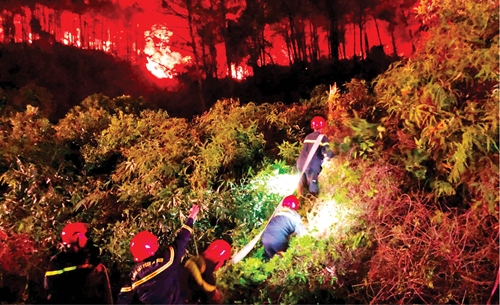 Không để “lịch sử” tái diễn - kỳ 2 Những bài học thực tiễn giúp ngăn ngừa, khống chế cháy rừng