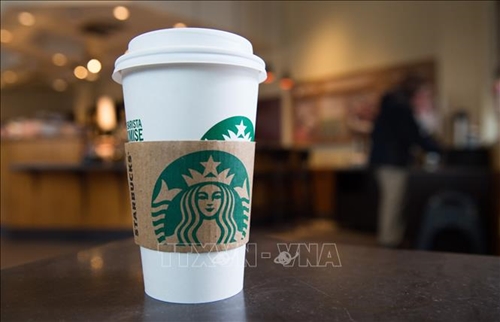 Starbucks Hàn Quốc ngừng sử dụng cốc nhựa dùng một lần ở đảo Jeju