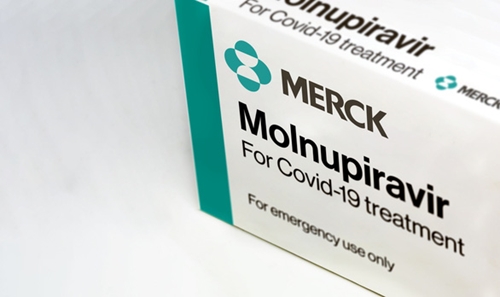 Châu Âu xem xét duyệt thuốc Molnupiravir đặc trị COVID-19