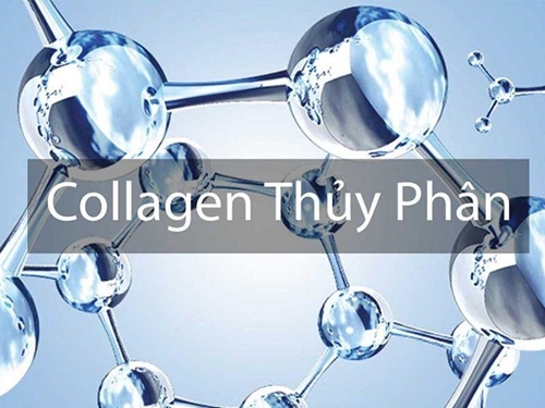 Collagen thuỷ phân và những điều cần biết