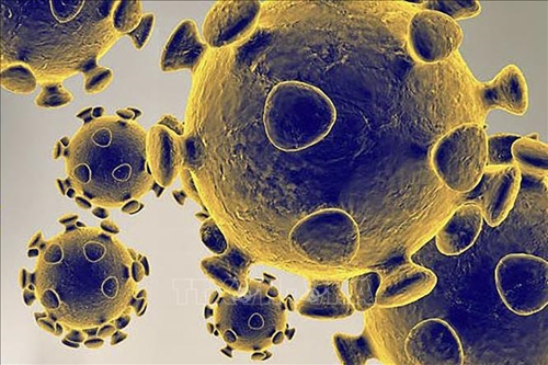 Thiết bị lọc không khí có thể loại bỏ virus SARS-CoV-2 lơ lửng