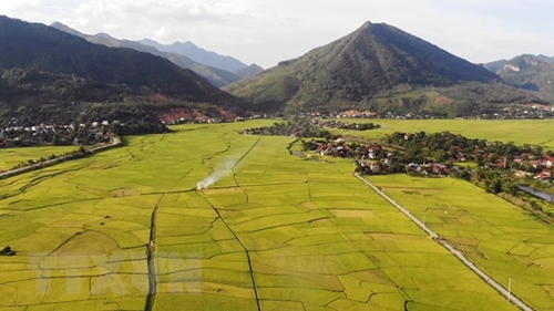 FAO hỗ trợ xây dựng đối tác xanh cho nền nông nghiệp mới Việt Nam
