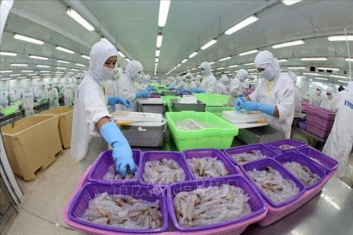 Việt Nam là thị trường cung cấp thủy sản lớn thứ 5 sang Nhật Bản