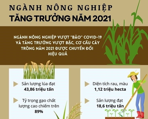Nông nghiệp Việt Nam tăng trưởng vượt bậc năm 2021