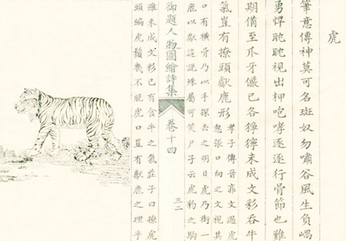 Bài thơ vịnh con hổ cùng điển tích diễn giải của vua Thiệu Trị