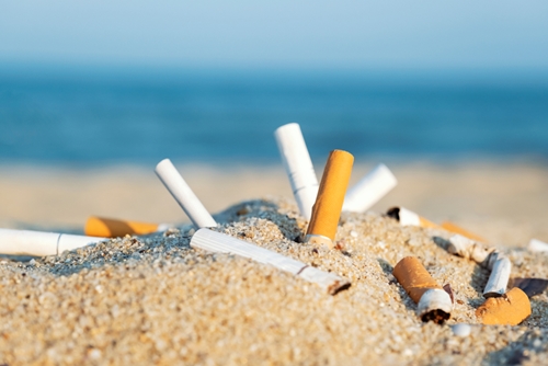 Rác thải nguy hại từ đầu mẩu thuốc lá chiếm đến hơn 766 nghìn tấn mỗi năm