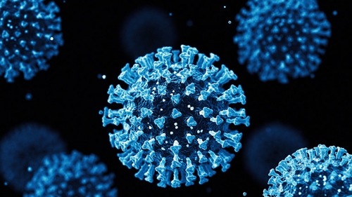 Virus SARS-CoV-2 tiến hóa theo hướng ngày càng dễ lây lan và né hệ miễn dịch