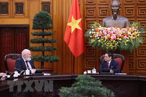 Thủ tướng Phạm Minh Chính tiếp xã giao Phó Chủ tịch điều hành EC