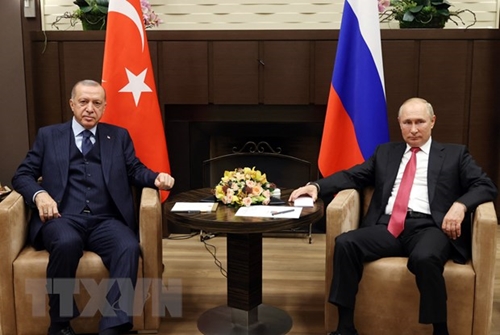 Thổ Nhĩ Kỳ tiếp tục nỗ lực làm trung gian hòa giải giữa Nga và Ukraine
