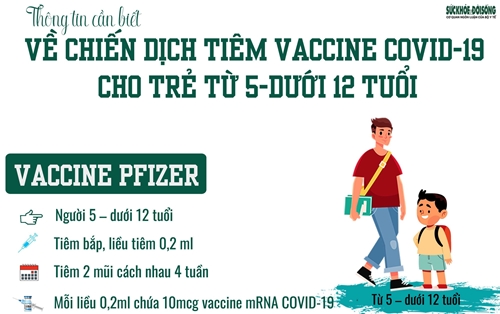 Thông tin về 2 loại vaccine phòng COVID-19 sẽ tiêm cho trẻ từ 5 - dưới 12 tuổi