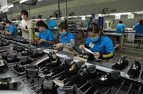 AFMGM Việt Nam chia sẻ kinh nghiệm phục hồi, phát triển kinh tế