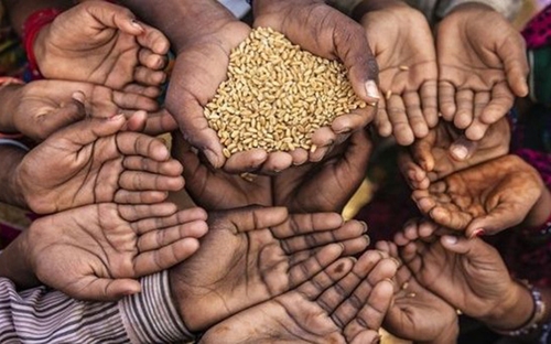 Ngân hàng Thế giới Một cuộc khủng hoảng lương thực toàn cầu mới đang hình thành