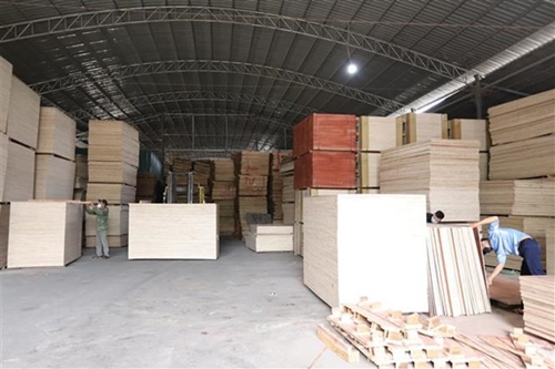 Xây dựng nguồn nguyên liệu gỗ bền vững phục vụ xuất khẩu