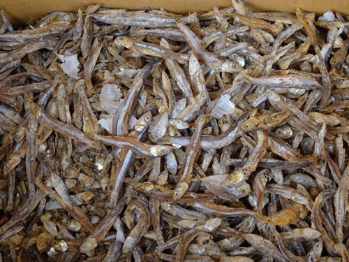 Tìm thấy hạt vi nhựa trong cá khô một số nước châu Á