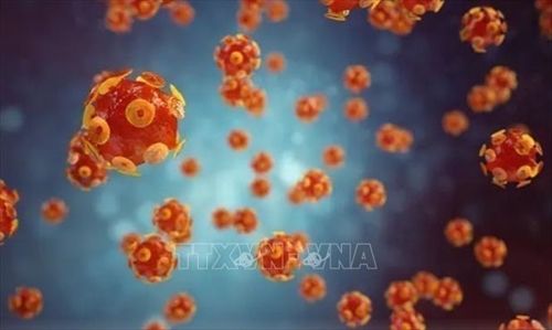 CDC Mỹ tìm hiểu nguyên nhân gây bệnh viêm gan mãn tính hiếm gặp