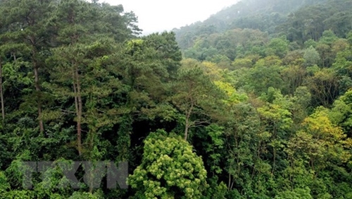 Nhật Bản sẽ mở rộng các vườn quốc gia để bảo tồn đa dạng sinh học