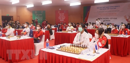 SEA Games 31 Việt Nam phấn đấu giành 5 Huy chương Vàng ở môn cờ vua