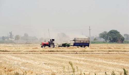 Ấn Độ cấm xuất khẩu lúa mì đẩy nguy cơ lạm phát lương thực toàn cầu tăng cao