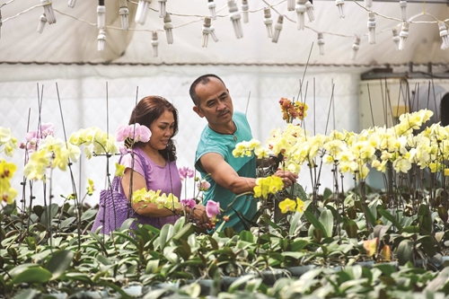 Growing orchids - a hobby not only for the elderly