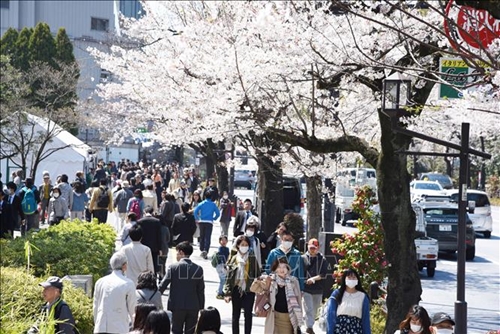 Nhật Bản sẽ đón khách du lịch theo tour từ ngày 10 6